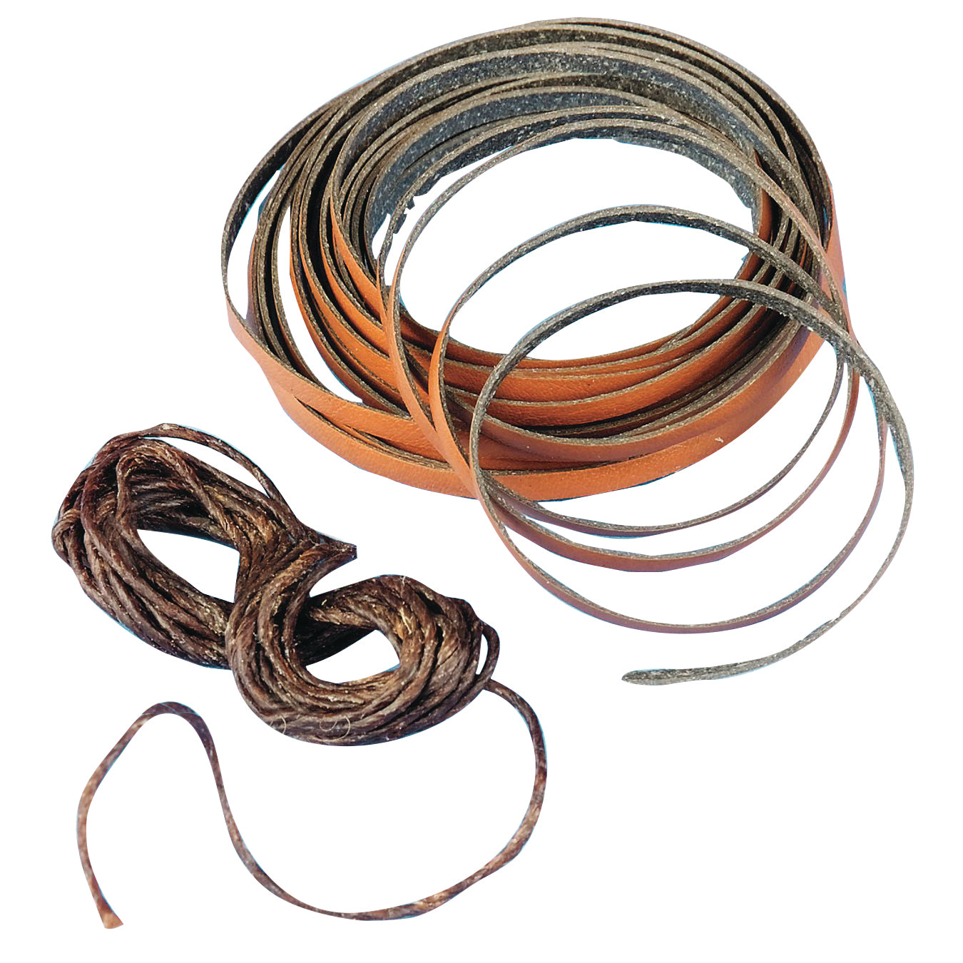 Allen Cognitive Level Screen