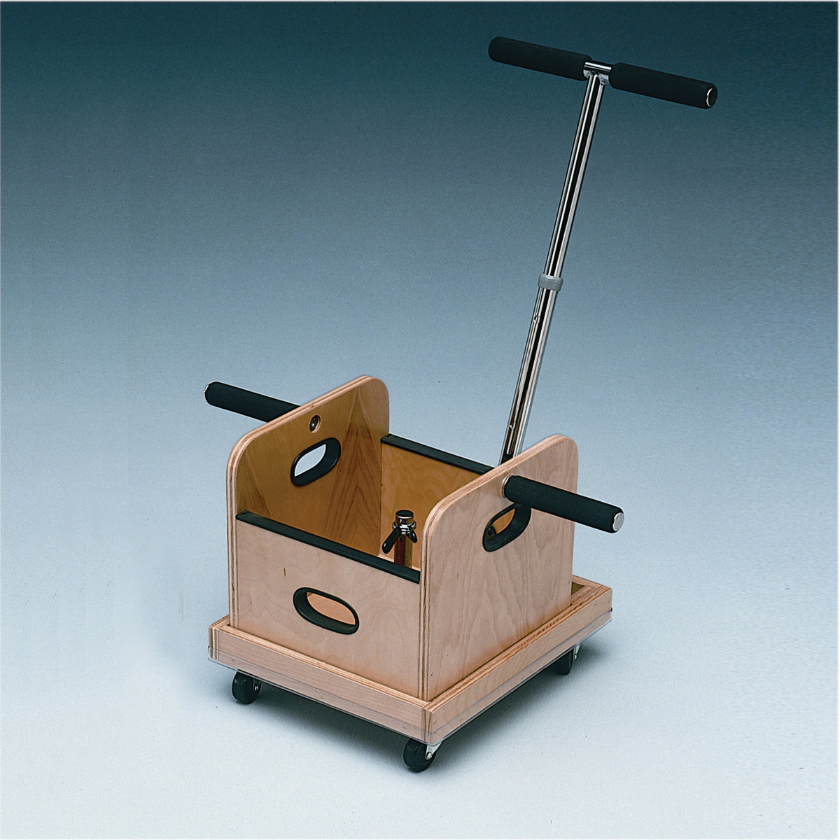 Baseline FCE Work Device - Mobile Weighted Cart