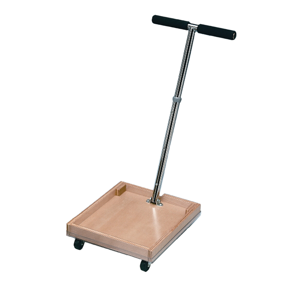 Baseline FCE Work Device - Mobile Weighted Cart