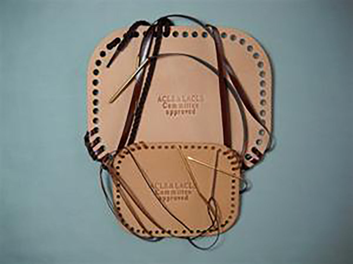 Allen Cognitive Level Screen